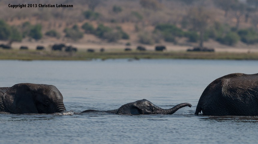 20130828-Botswana-3444.jpg