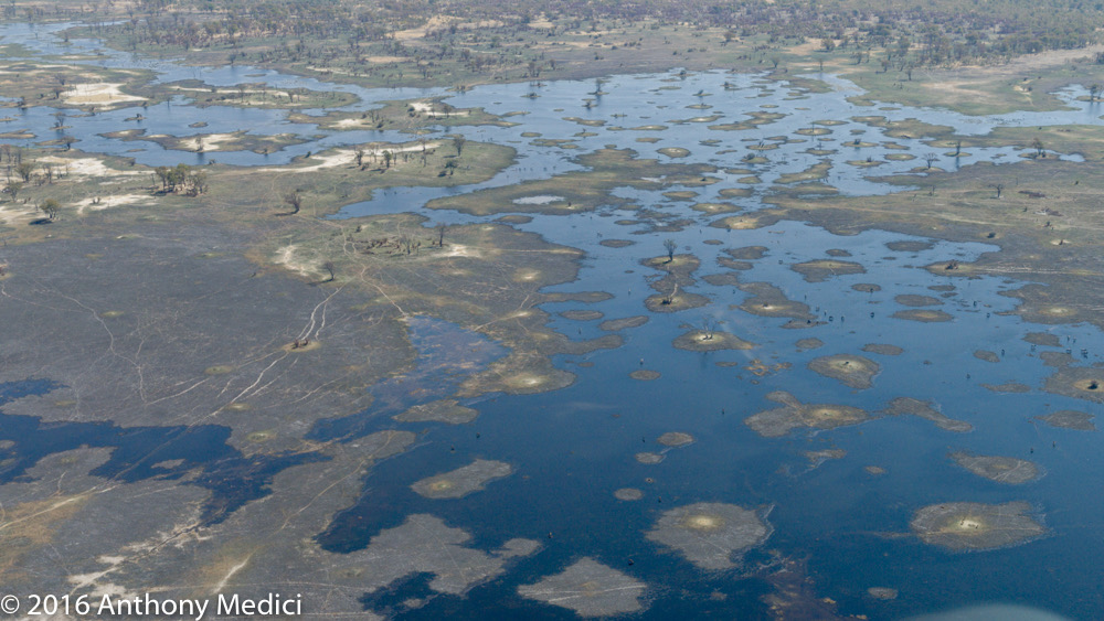 bythom 8-12-okavango-tm-4.jpg