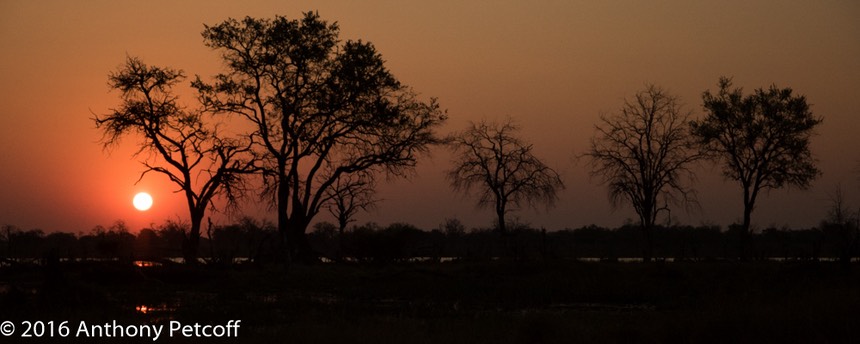 bythom 8-16-okavango-ap-2.jpg