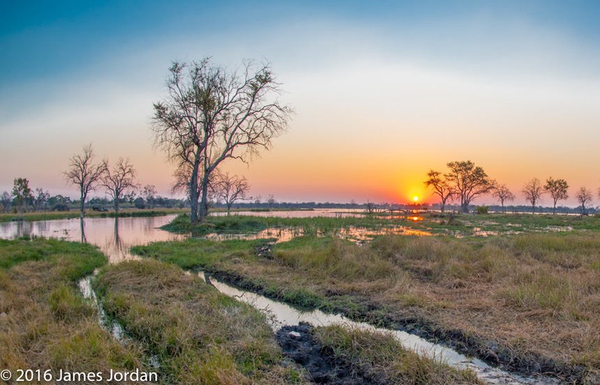 bythom 8-16-okavango-jj-5.jpg