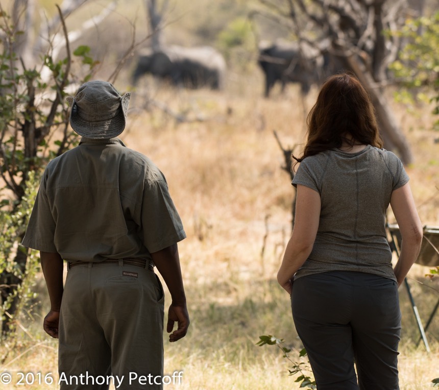 bythom 8-17-okavango-ap-4.jpg