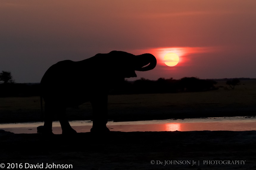 bythom 8-17-okavango-dj-4.jpg