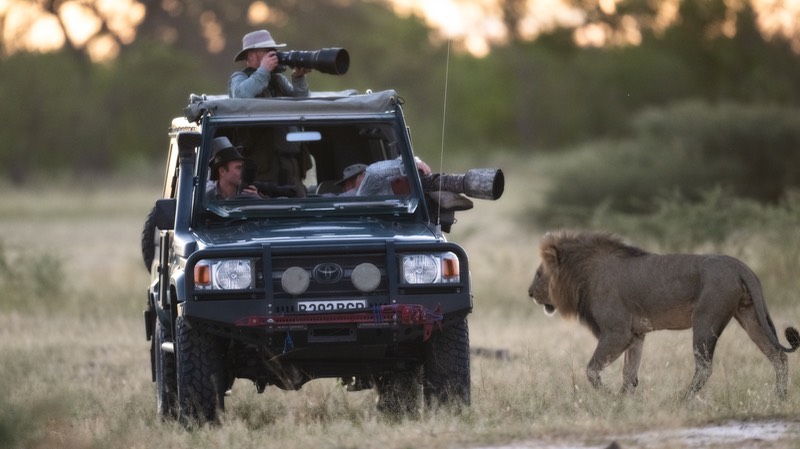 bythom INT BOTS Okavango April24 Z91 92124