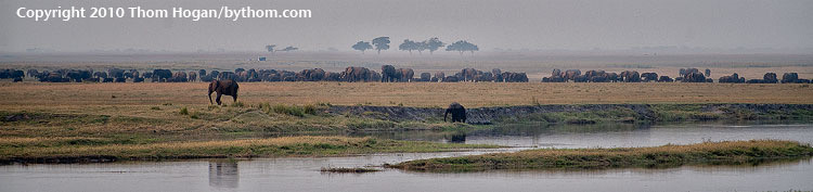 INT AF Botswana 2010 D3 02449.JPG