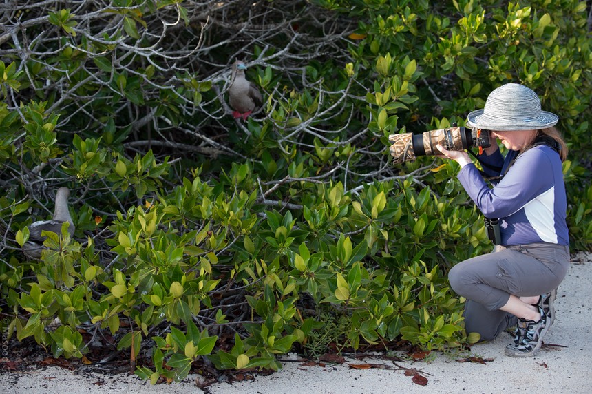 Masood-Galapagos-20140331-15- MGD631033.jpg